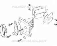 INTAKE REED VALVE