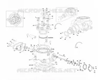 CYLINDER / PISTON