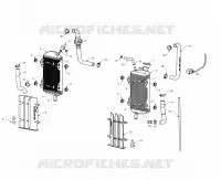 RADIATOR / HOSES