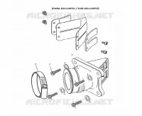 INTAKE REED VALVE