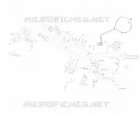 HOMOLOG KIT