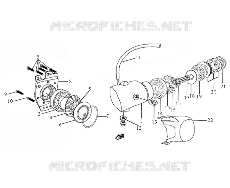 REAR CRANKCASE COVER