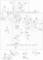 THROTTLE BODY