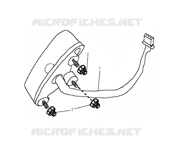 TAIL LIGHT