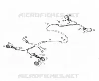 ELECTRICAL HOMOLOG