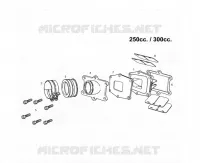 INTAKE REED VALVE