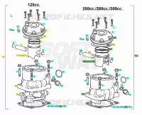 CYLINDER / PISTON
