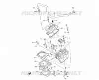 CYLINDER / HEAD 250/300