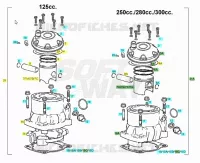 CYLINDER / PISTON
