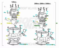 CYLINDER / PISTON
