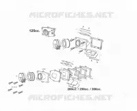 INTAKE REED VALVE