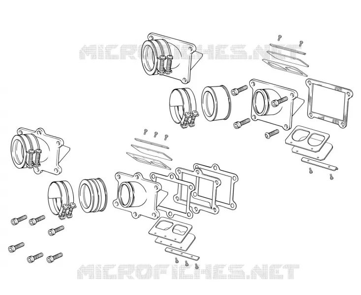 INTAKE REED VALVE