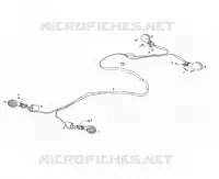 WIRING HARNESS / INDICATOR