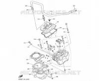 CYLINDER / HEAD 250/300