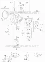THROTTLE BODY