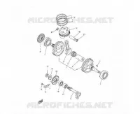 CRANKSHAFT 250/300