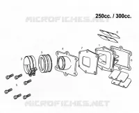 INTAKE REED VALVE