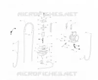 HOMOLOG KIT