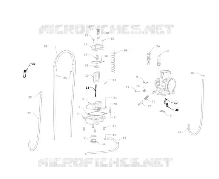 HOMOLOG KIT
