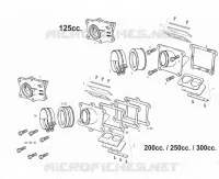 INTAKE REED VALVE