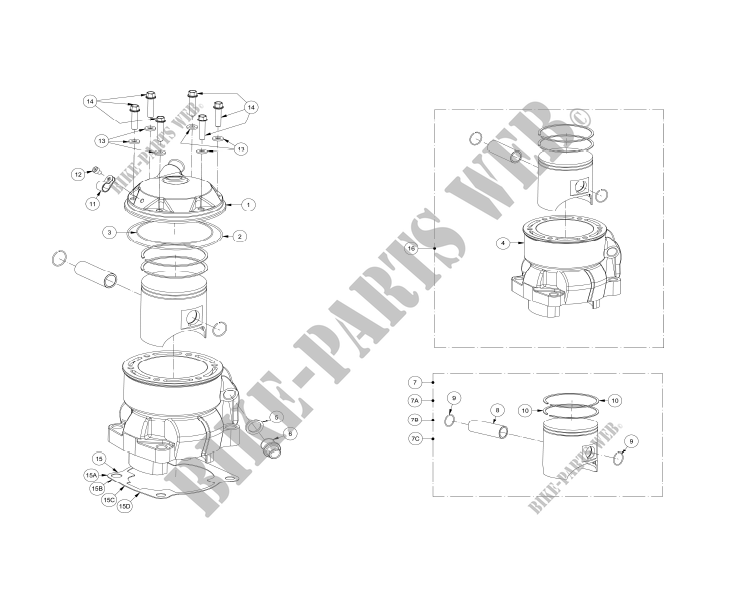 CYLINDER / PISTON for GASGAS TXT 300 REPLICA FACTORY 30TH 2014